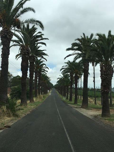 Photo: Barossa valley tours Adelaide SA-By Bums On Seats Tours